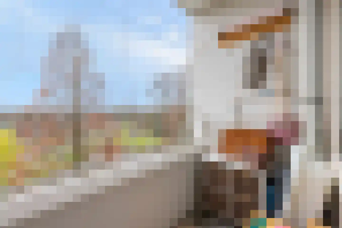 Burgemeester Van Haarenlaan 1324 Schiedam thumbnail 20