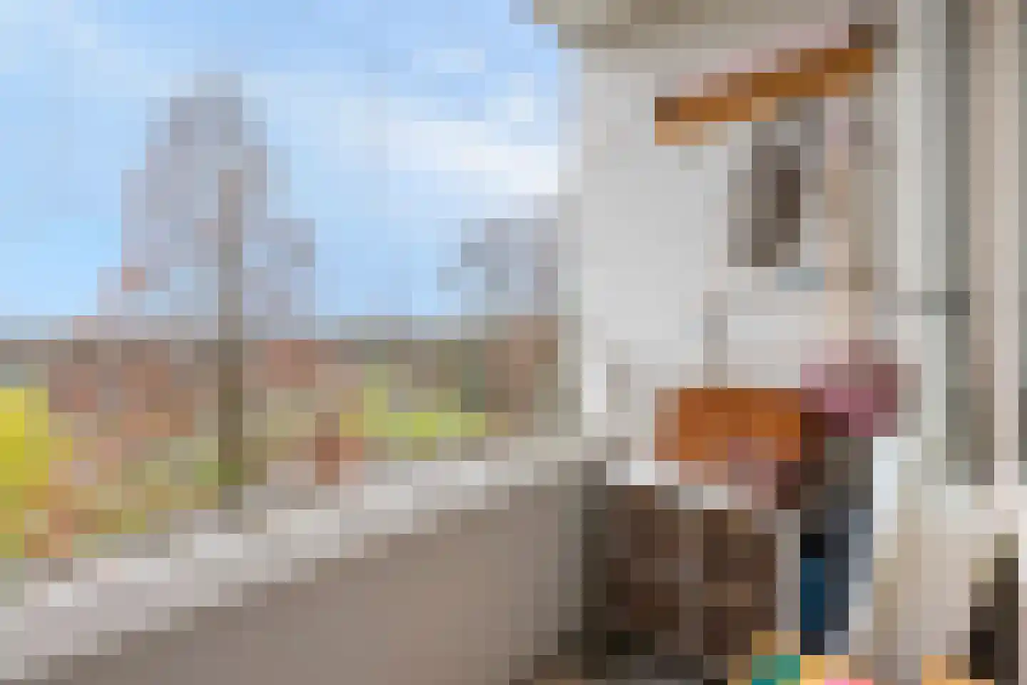 Burgemeester Van Haarenlaan 1324 Schiedam thumbnail 20