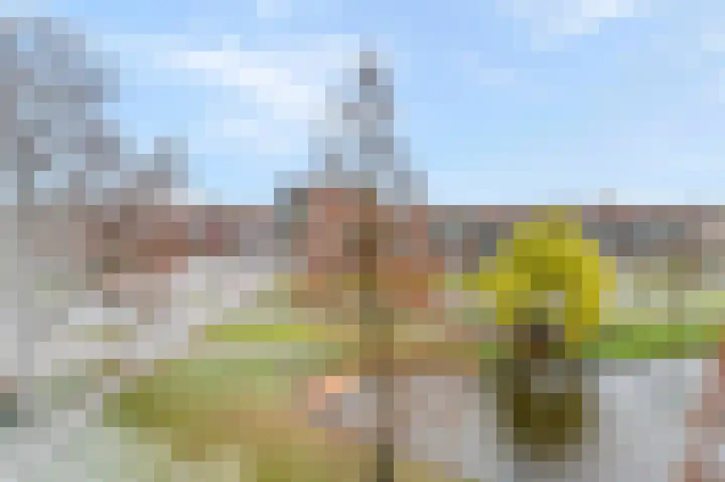 Burgemeester Van Haarenlaan 1324 Schiedam thumbnail 7