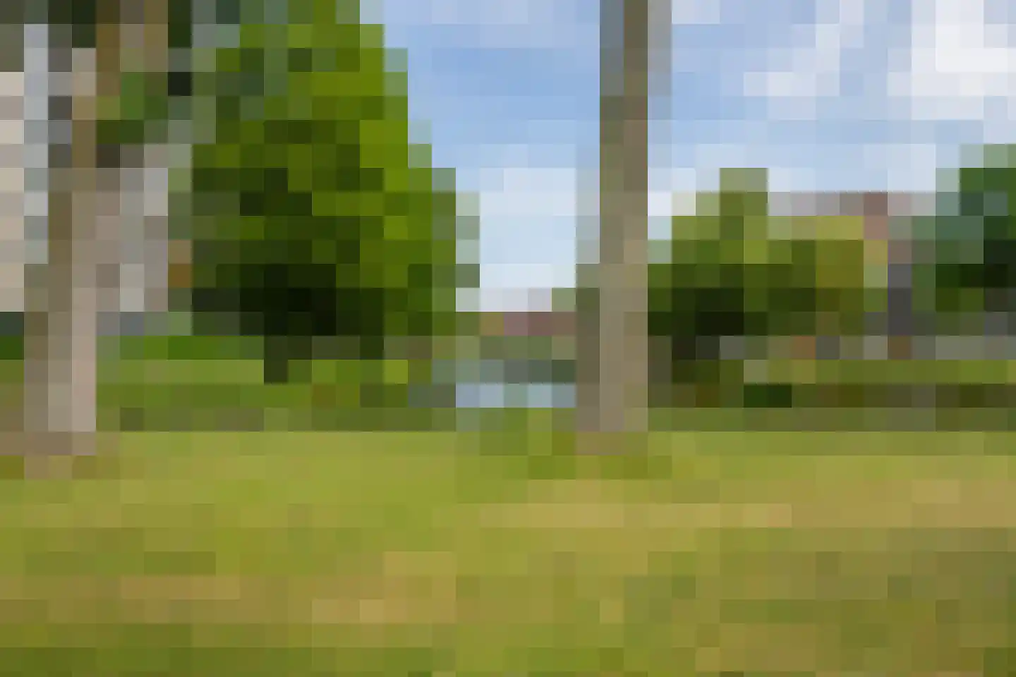 Burgemeester Van Haarenlaan 1336 Schiedam thumbnail 25