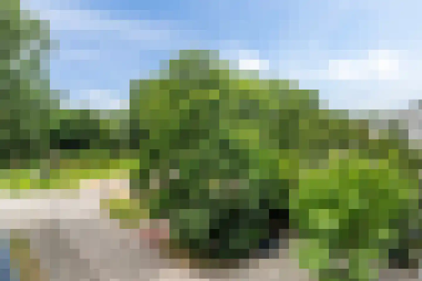 Burgemeester Van Haarenlaan 1336 Schiedam thumbnail 4