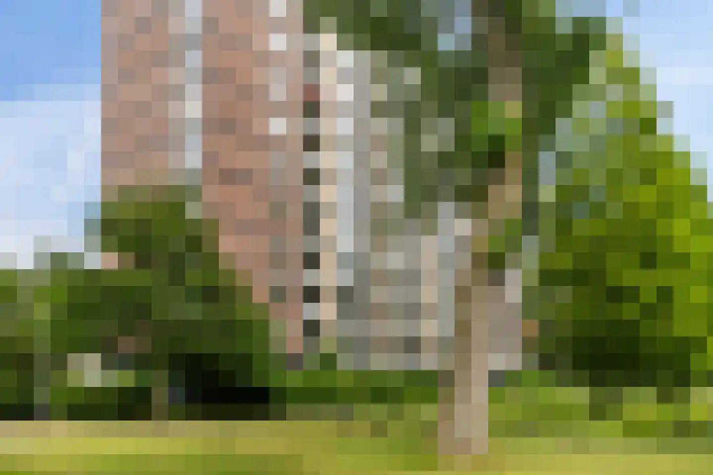 Burgemeester Van Haarenlaan 1336 Schiedam thumbnail 5