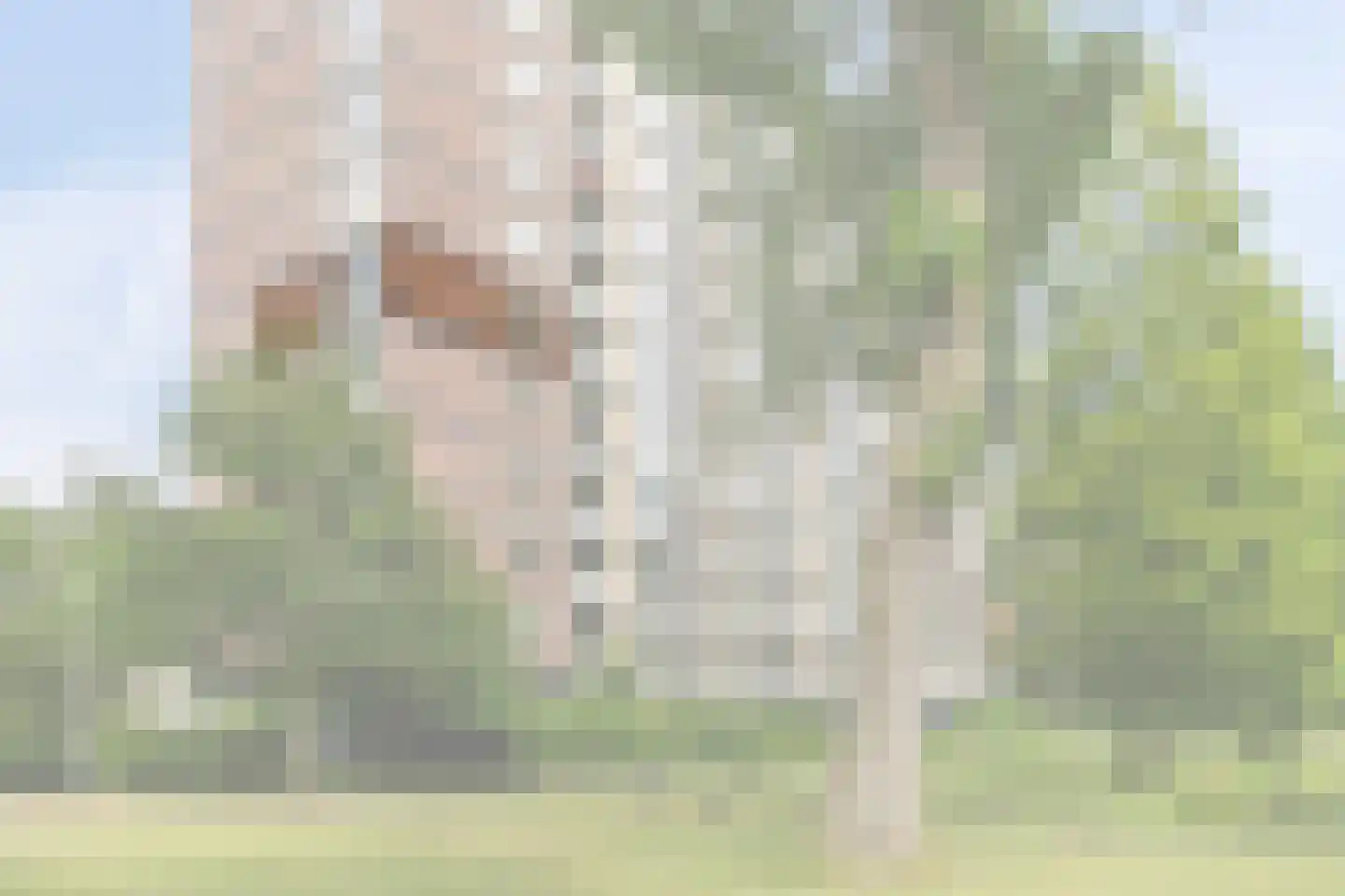 Burgemeester Van Haarenlaan 1336 Schiedam thumbnail 6