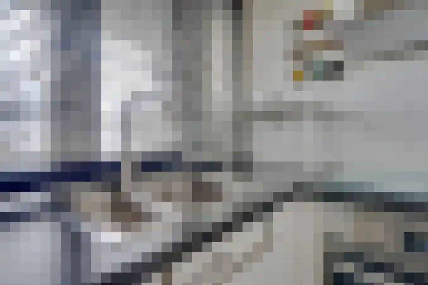 Burgemeester Van Haarenlaan 1340 Schiedam thumbnail 8