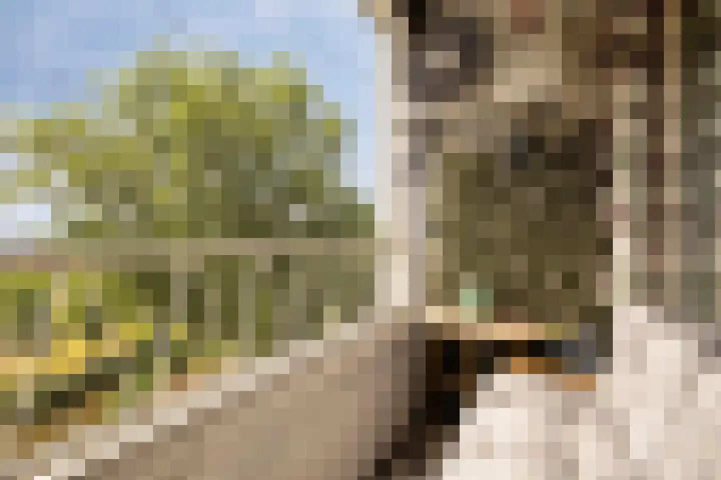 Burgemeester Van Haarenlaan 1350 Schiedam thumbnail 22