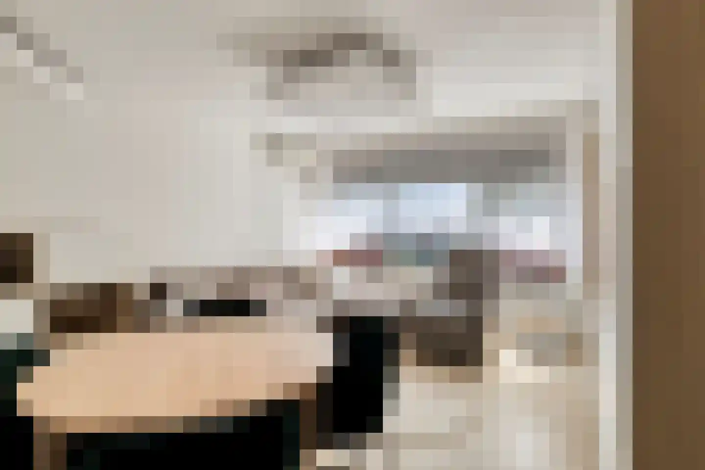 Burgemeester Van Haarenlaan 1350 Schiedam thumbnail 4