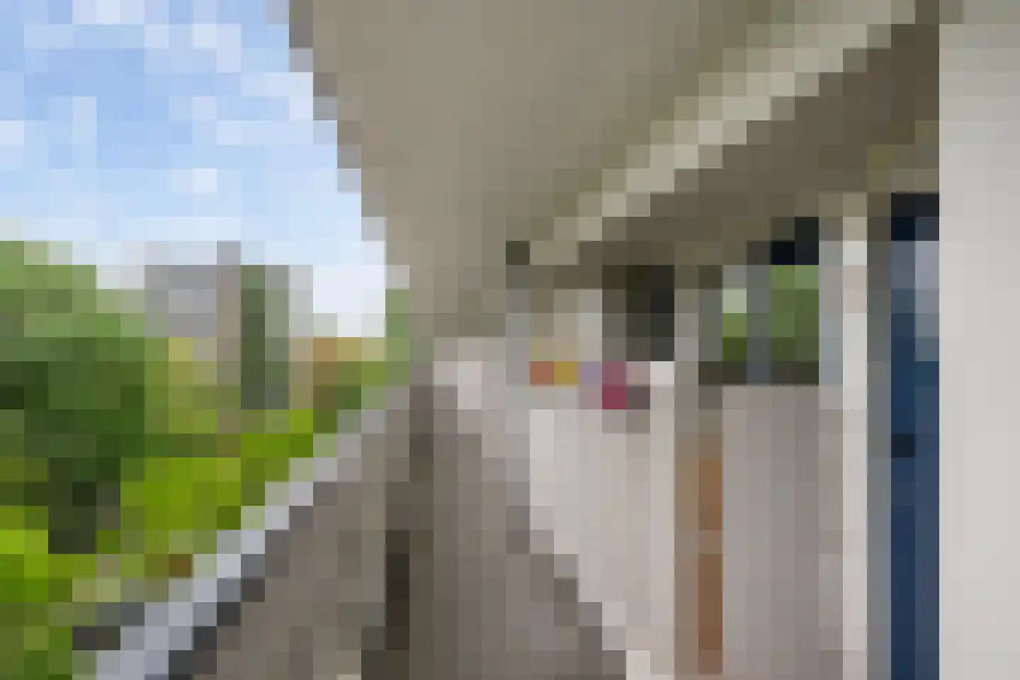 Burgemeester Van Haarenlaan 1352 Schiedam thumbnail 9