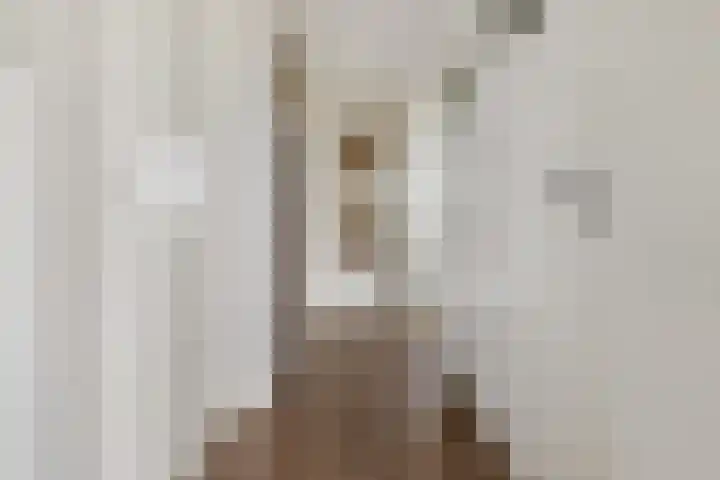 Burgemeester Van Haarenlaan 1362 Schiedam thumbnail 6