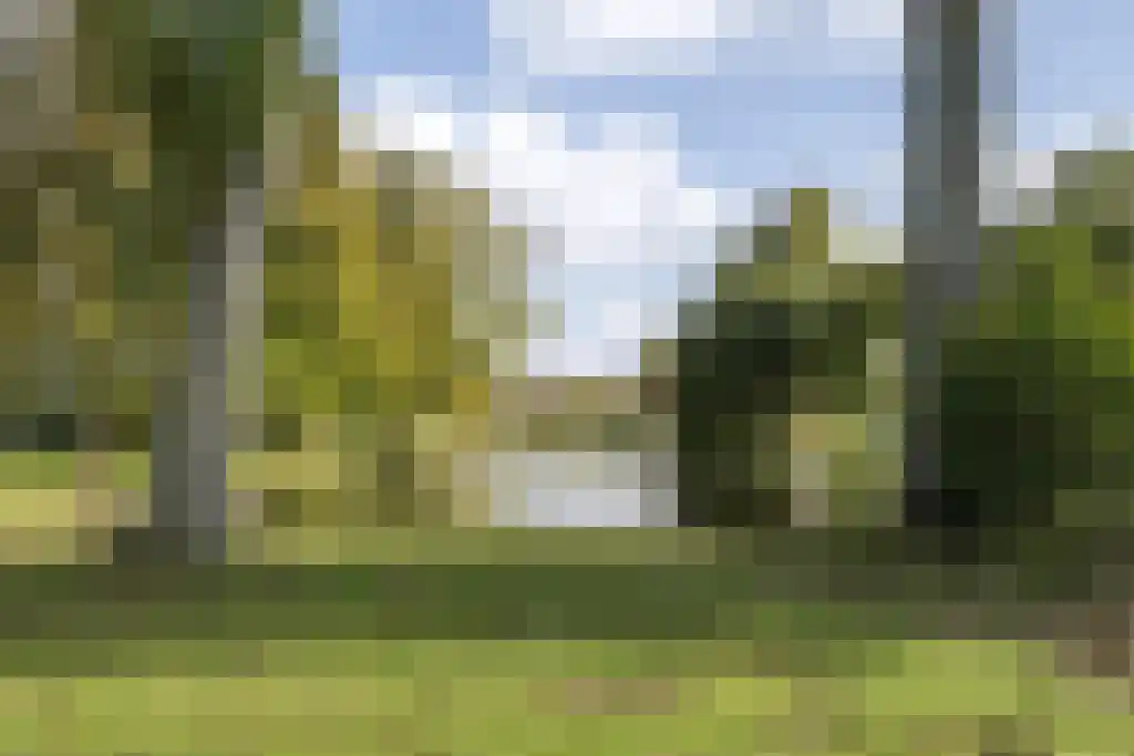 Burgemeester Van Haarenlaan 1366 Schiedam thumbnail 22