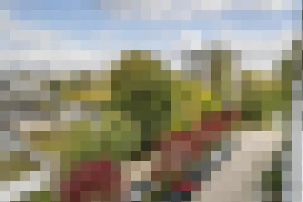 Burgemeester Van Haarenlaan 1366 Schiedam thumbnail 25