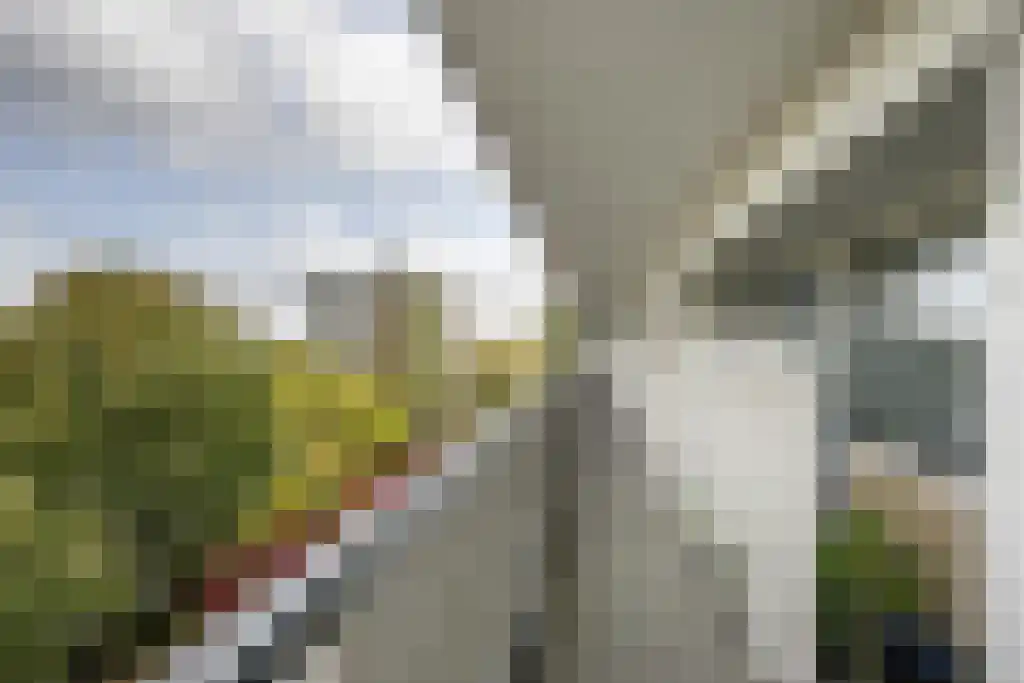 Burgemeester Van Haarenlaan 1366 Schiedam thumbnail 6