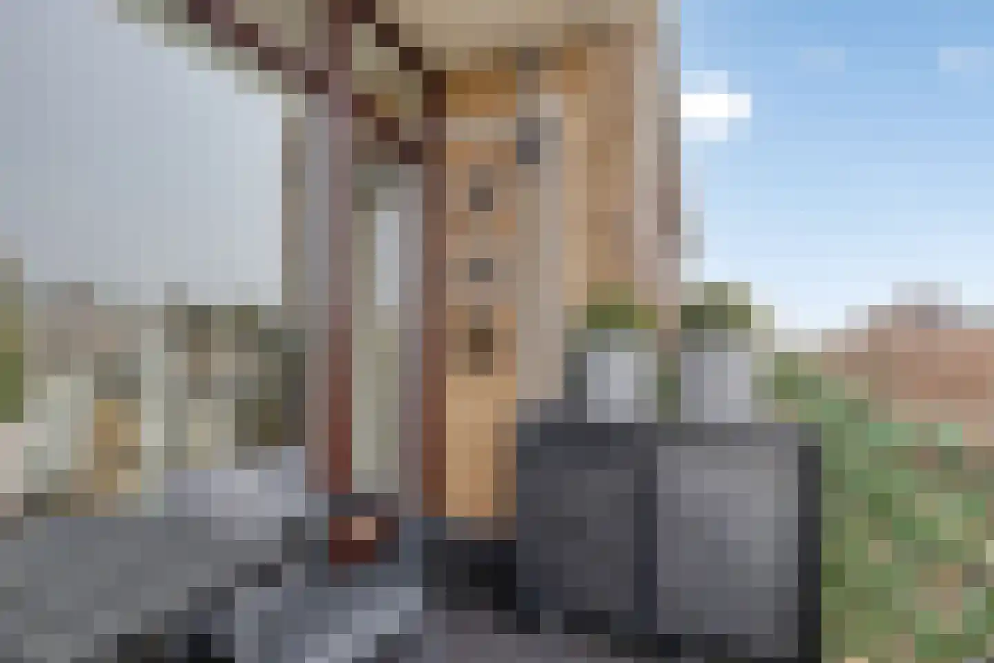 Burgemeester Van Haarenlaan 1423 Schiedam thumbnail 10