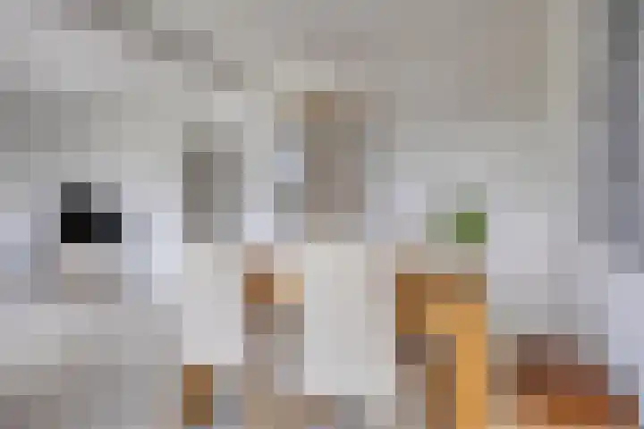 Burgemeester Van Haarenlaan 1486 Schiedam thumbnail 6