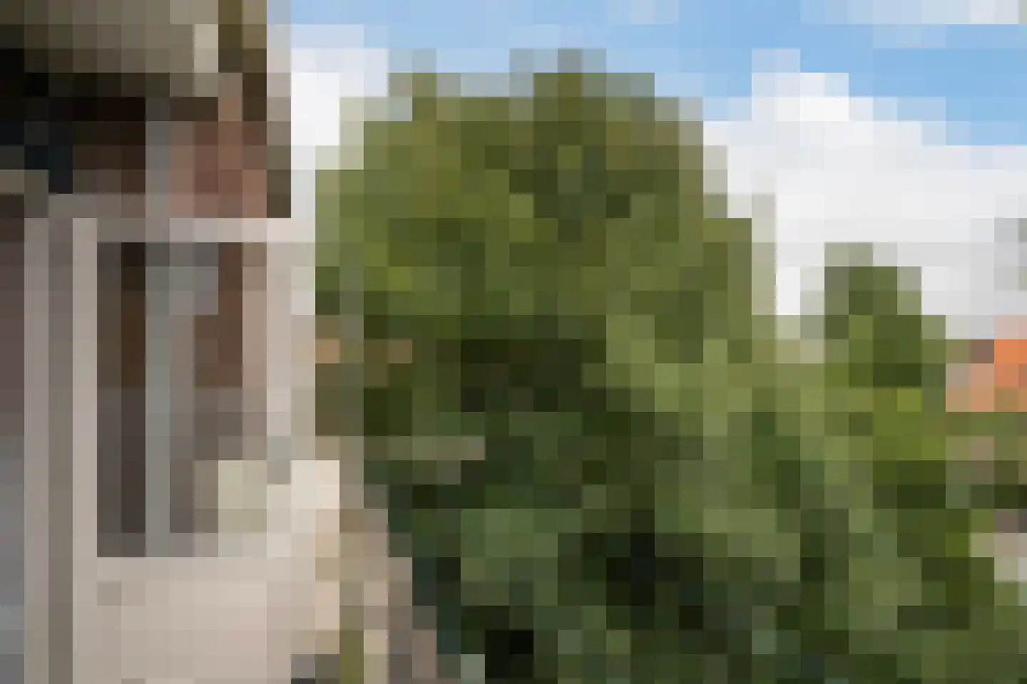 Burgemeester Van Haarenlaan 1507 Schiedam thumbnail 11