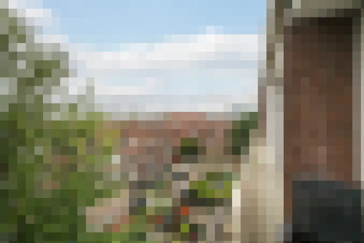 Burgemeester Van Haarenlaan 1507 Schiedam thumbnail 14
