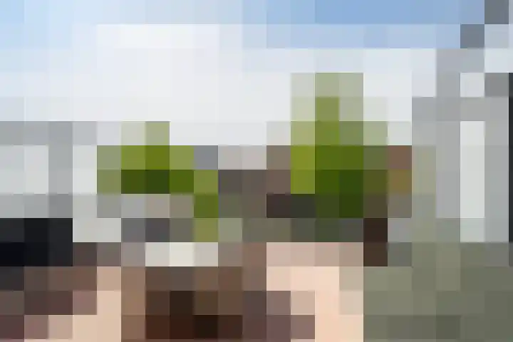 Burgemeester Van Haarenlaan 1518 Schiedam thumbnail 4