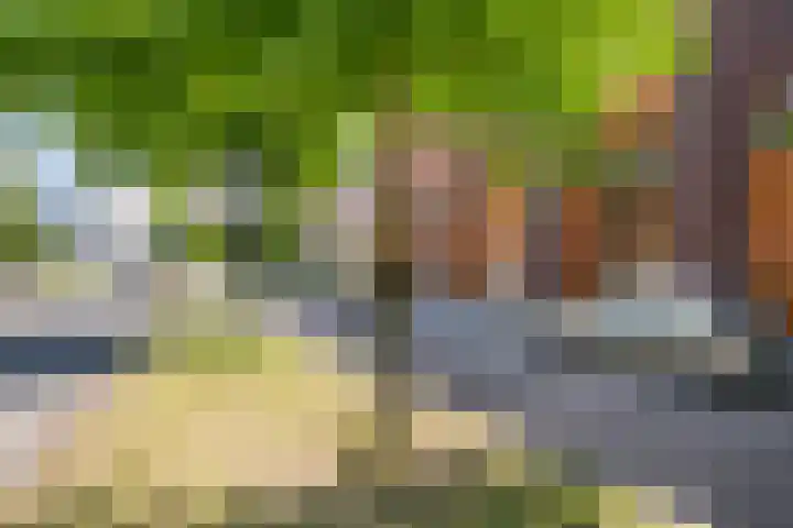 Burgemeester Van Haarenlaan 1518 Schiedam thumbnail 46