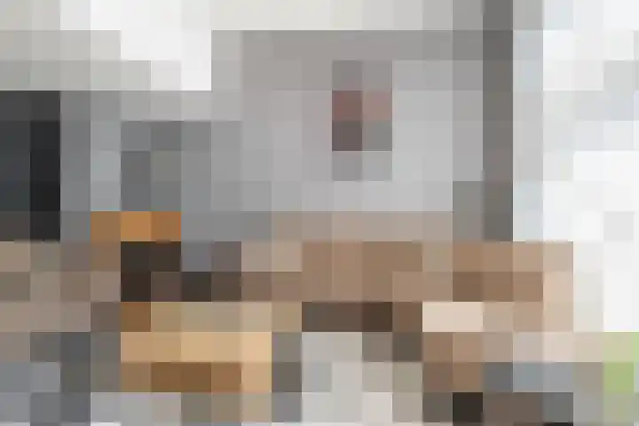 Burgemeester Van Haarenlaan 1518 Schiedam thumbnail 8