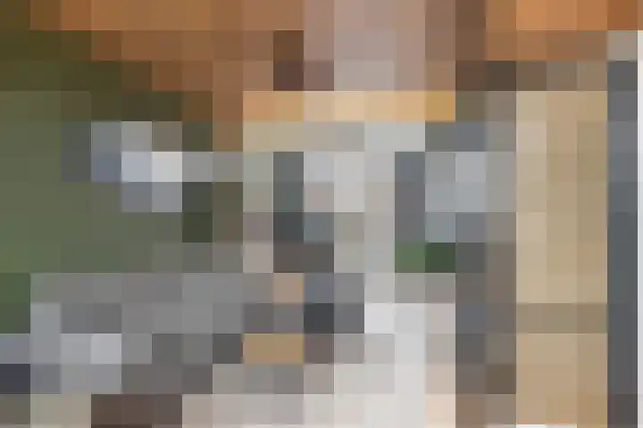 Burgemeester Van Haarenlaan 1519 Schiedam thumbnail 10