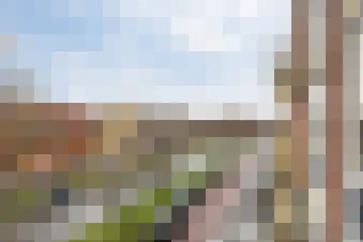 Burgemeester Van Haarenlaan 1519 Schiedam thumbnail 24