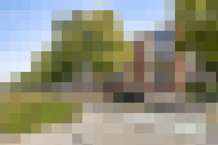 Burgemeester Van Haarenlaan 1537 Schiedam thumbnail 23