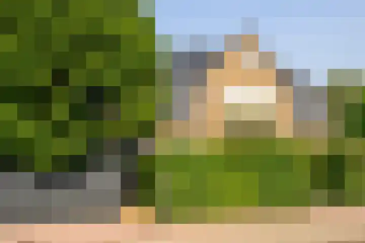 Burgemeester van Hasseltlaan 12 Naarden thumbnail 11