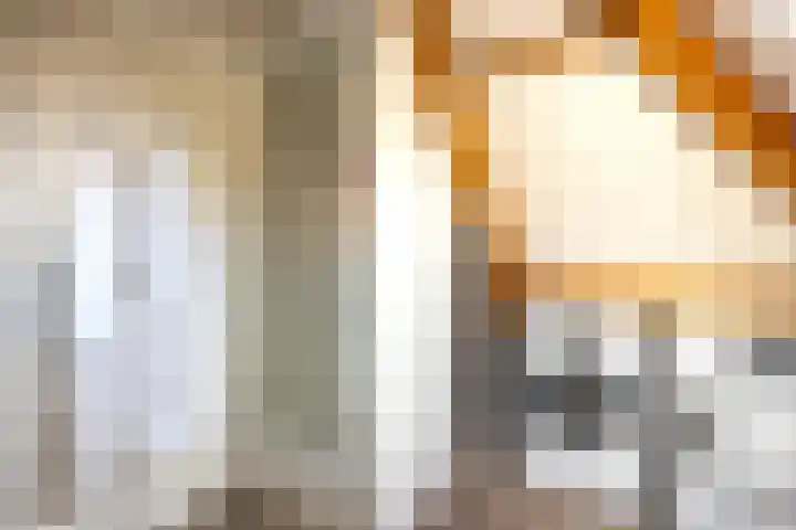 Burgemeester van Hasseltlaan 12 Naarden thumbnail 21