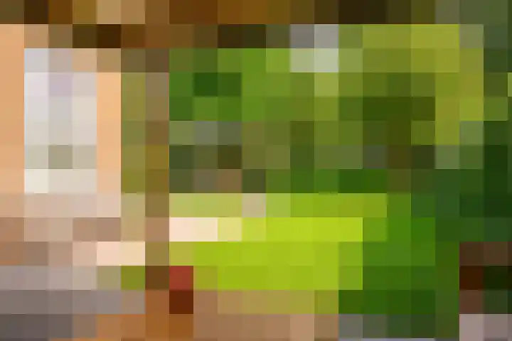 Burgemeester van Hasseltlaan 12 Naarden thumbnail 24