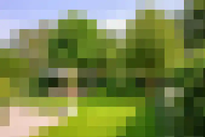 Burgemeester van Hasseltlaan 12 Naarden thumbnail 9