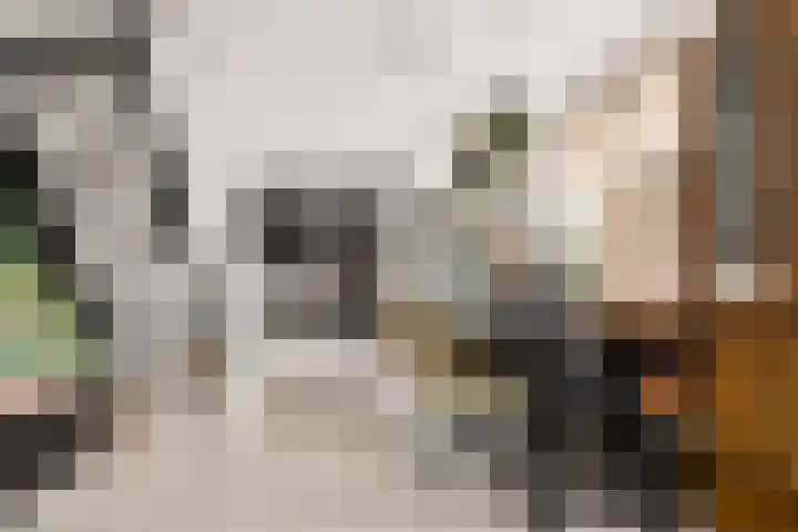 Burgemeester van Heeckerenstraat 4 Eibergen thumbnail 11