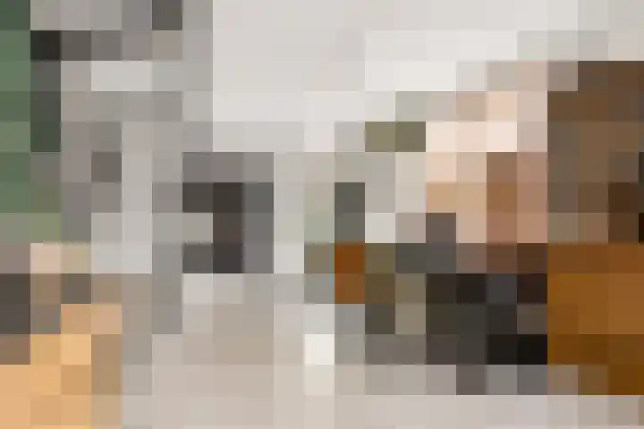 Burgemeester van Heeckerenstraat 4 Eibergen thumbnail 13