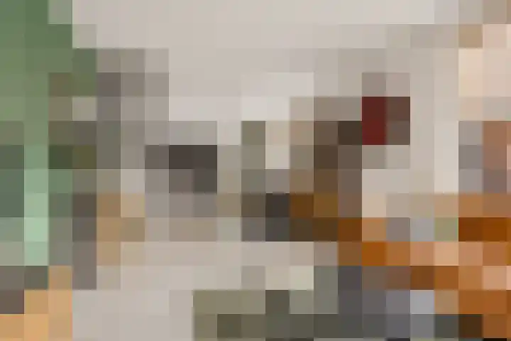 Burgemeester van Heeckerenstraat 4 Eibergen thumbnail 15