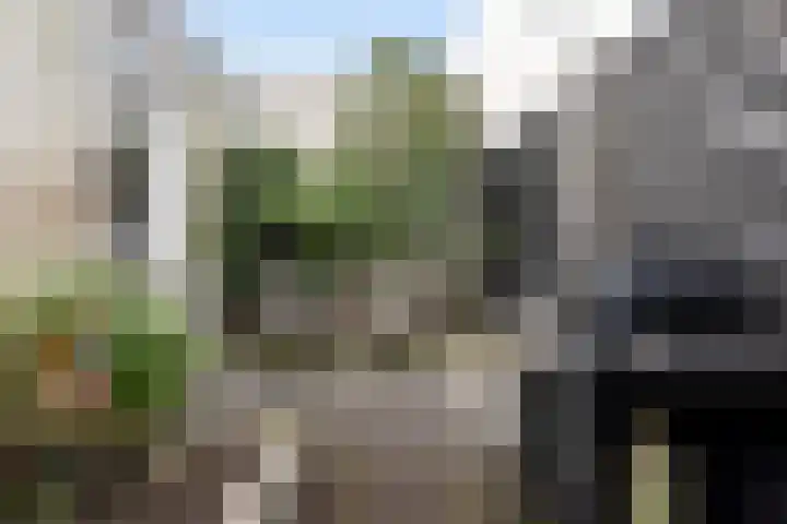 Burgemeester van Heeckerenstraat 4 Eibergen thumbnail 42