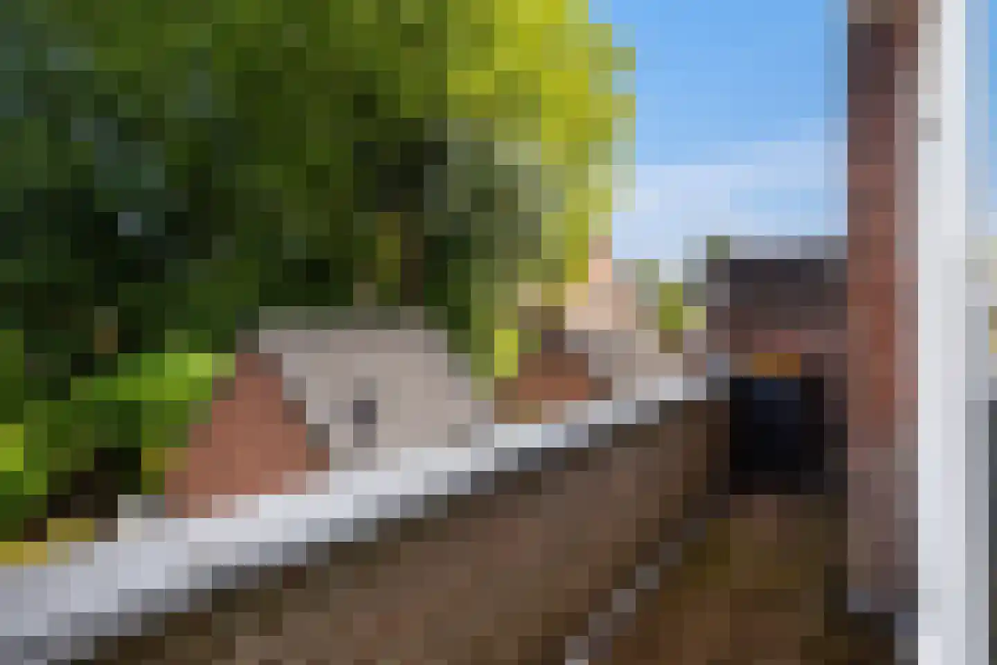 Burgemeester Van Heemstrakwartier 14 De Bilt thumbnail 26