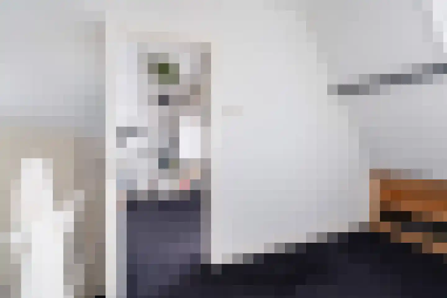 Burgemeester Van Heemstrakwartier 14 De Bilt thumbnail 38