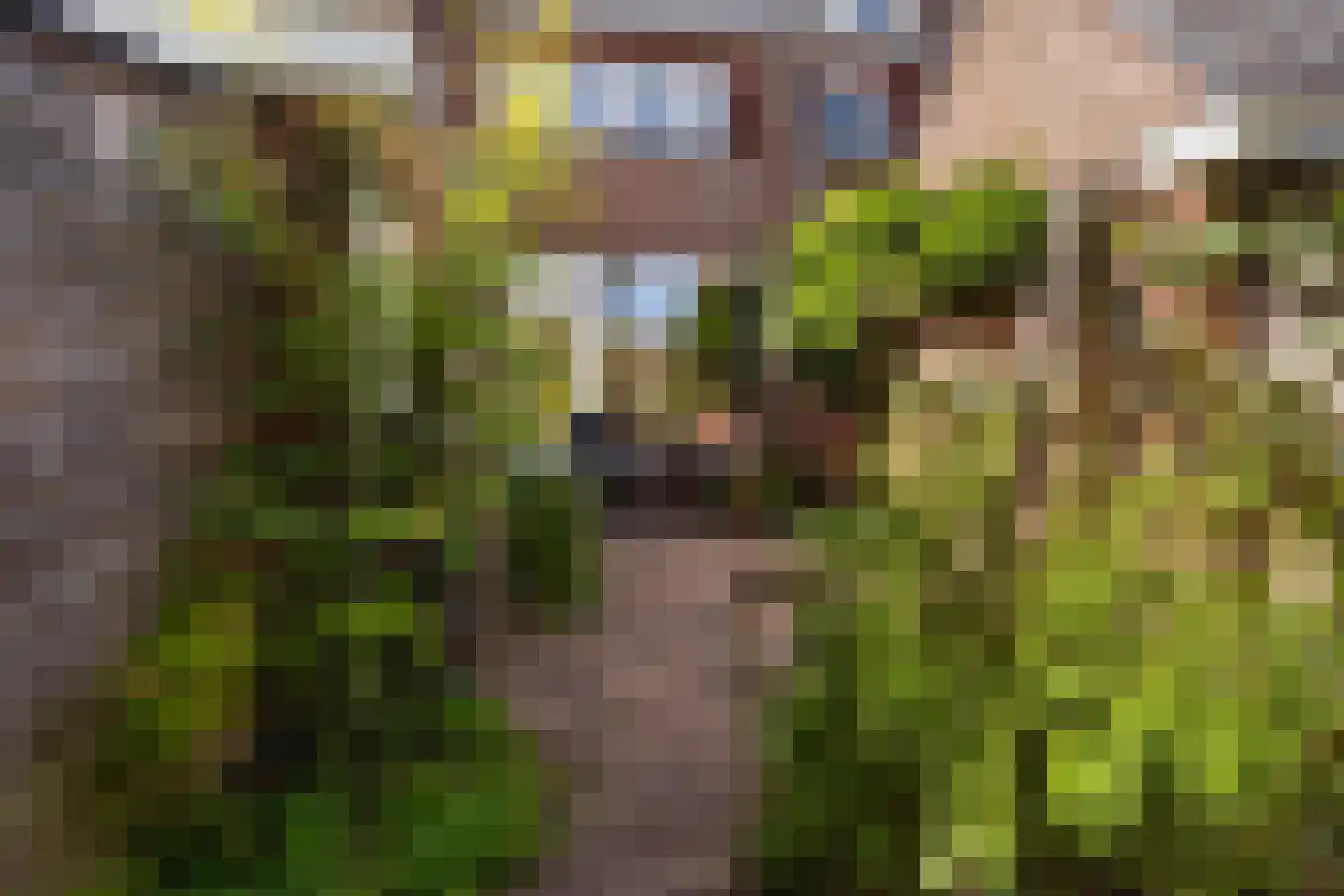 Burgemeester Van Heemstrakwartier 14 De Bilt thumbnail 46