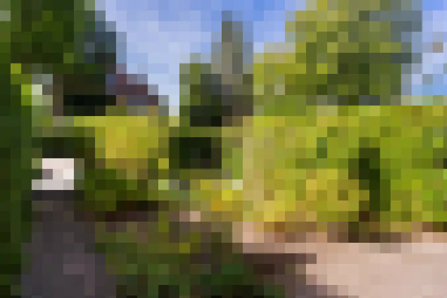 Burgemeester Van Heemstrakwartier 14 De Bilt thumbnail 55