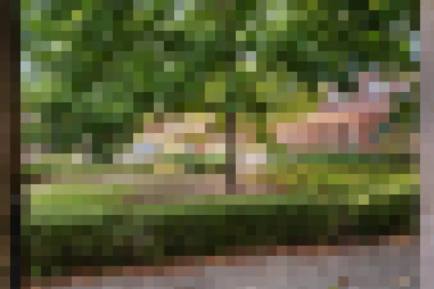 Burgemeester Van Heemstrakwartier 14 De Bilt thumbnail 60
