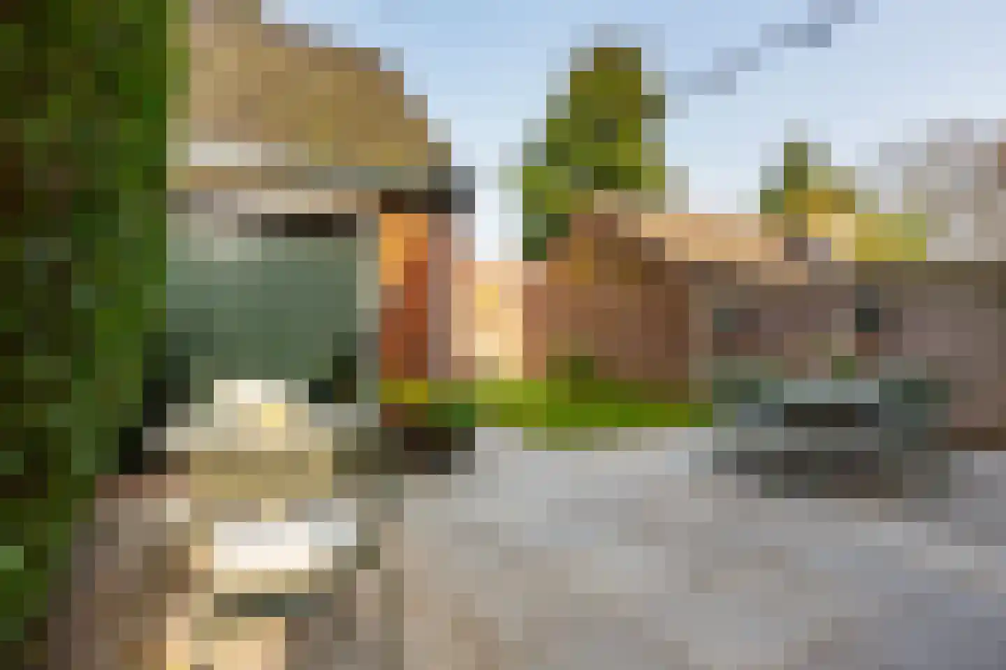 Burgemeester Van Heemstrakwartier 159 De Bilt thumbnail 43