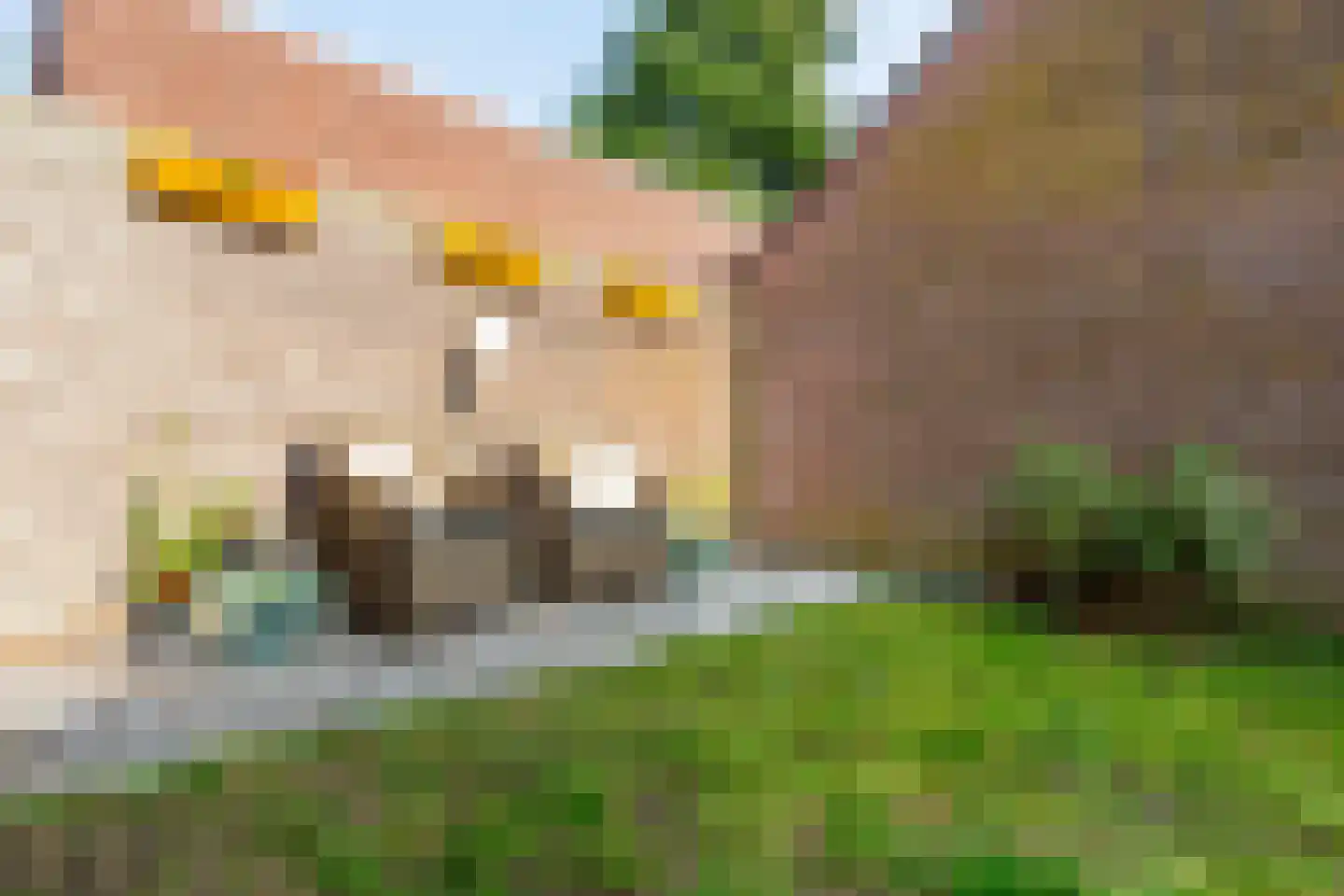 Burgemeester Van Heemstrakwartier 159 De Bilt thumbnail 46