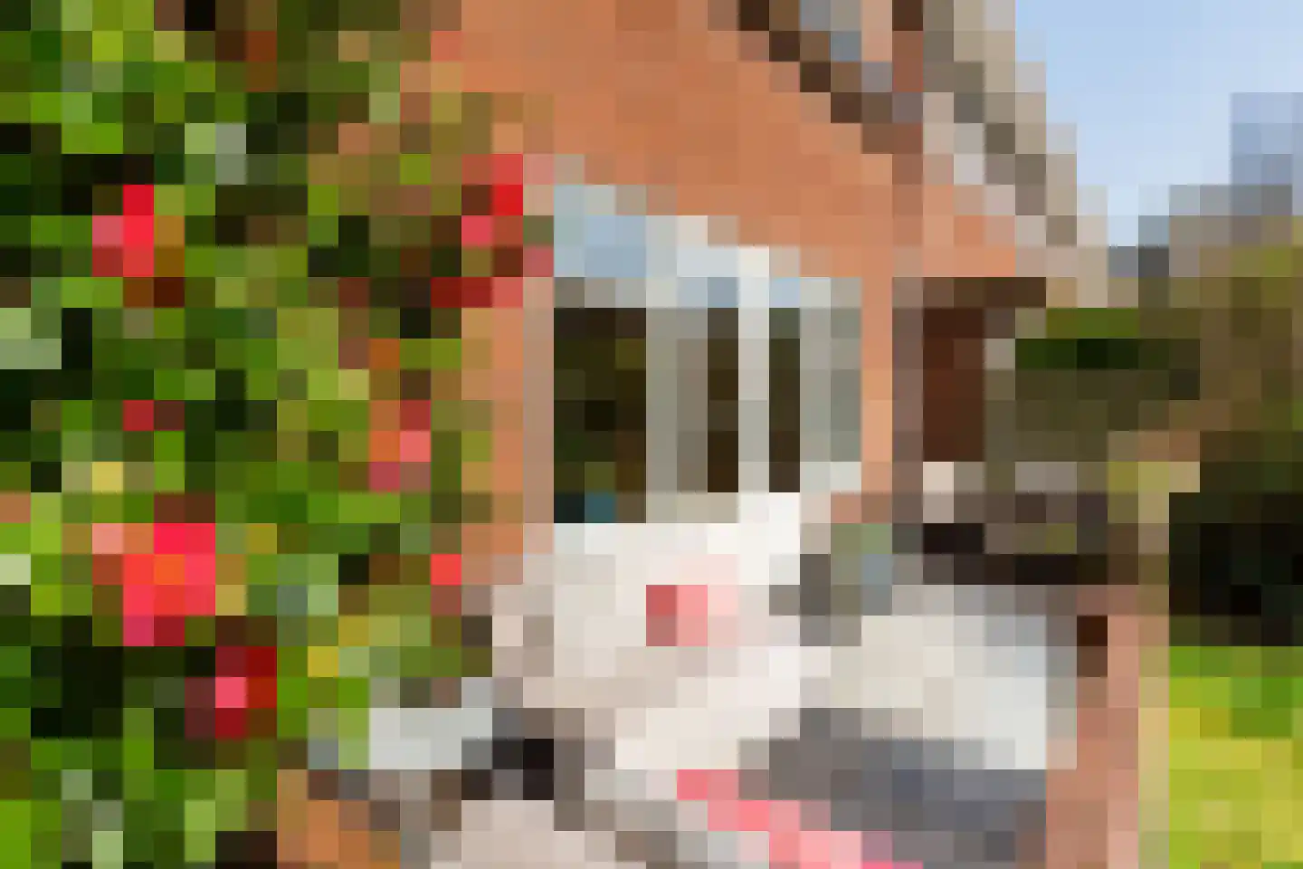 Burgemeester Van Heemstrakwartier 159 De Bilt thumbnail 48