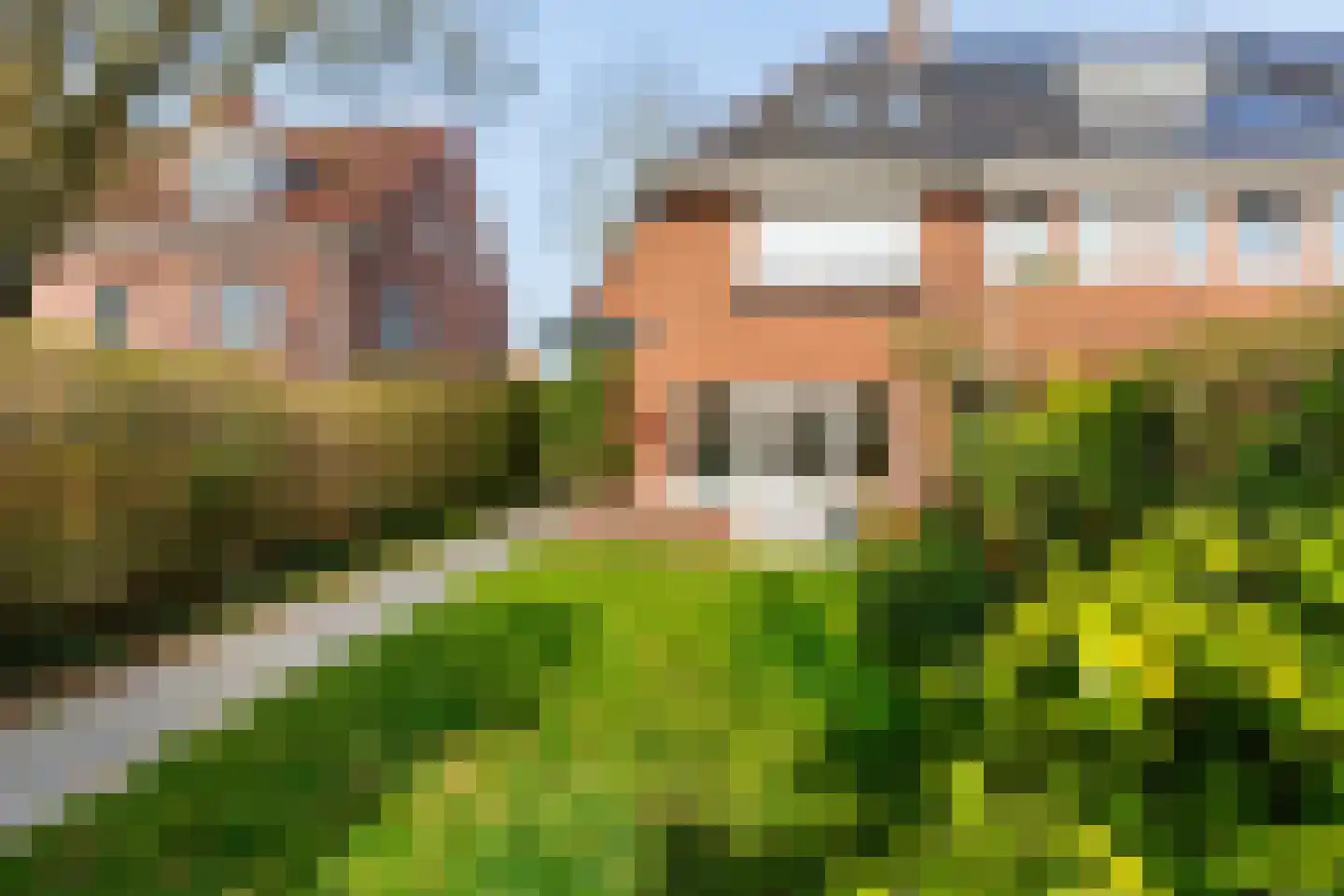 Burgemeester Van Heemstrakwartier 159 De Bilt thumbnail 51
