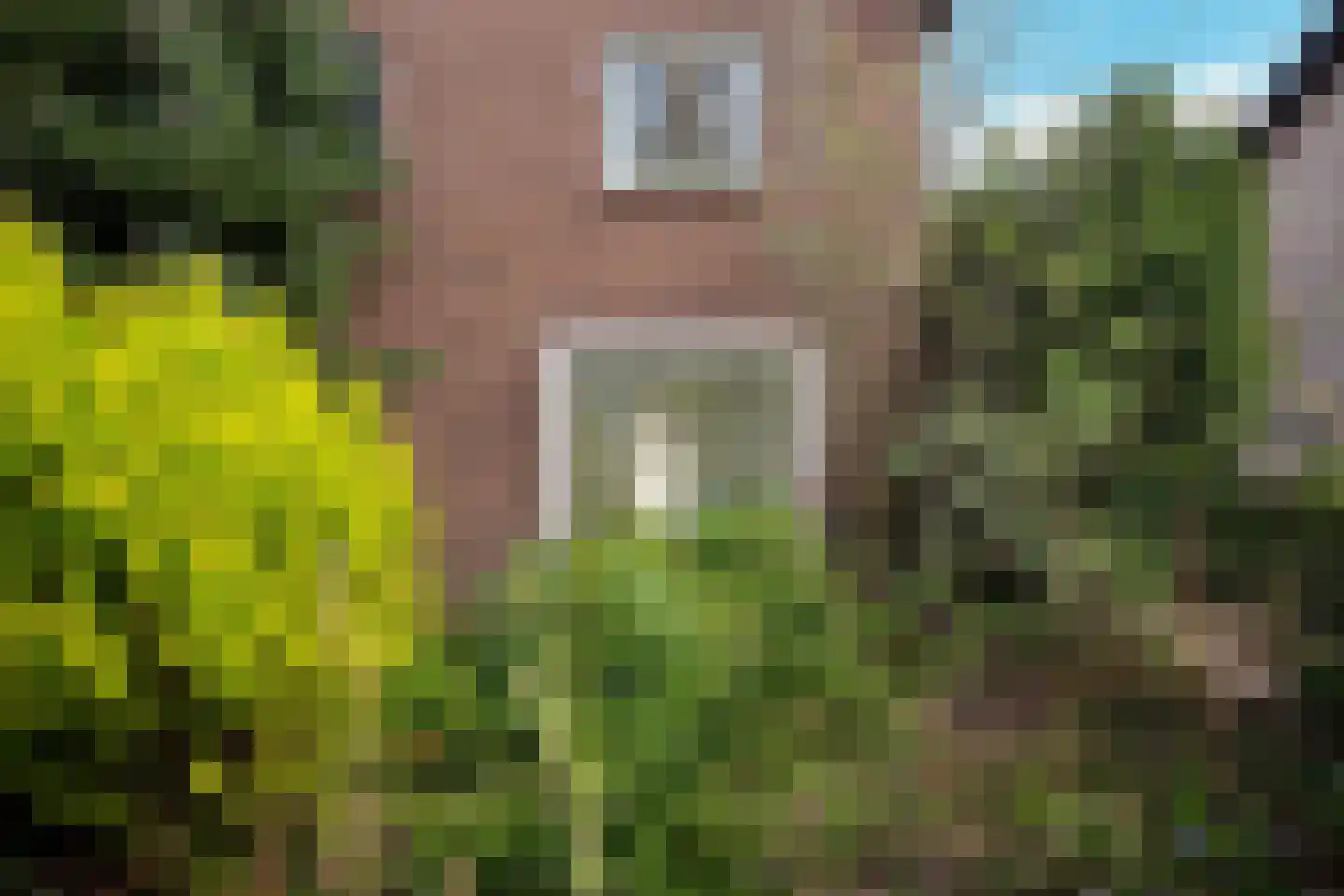 Burgemeester van Heystlaan 1 Waalwijk thumbnail 14