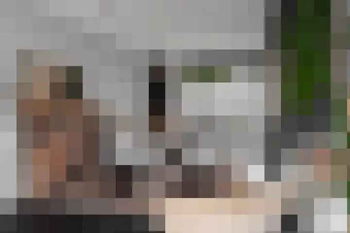 Burgemeester van Hooffln 54 Veldhoven thumbnail 10