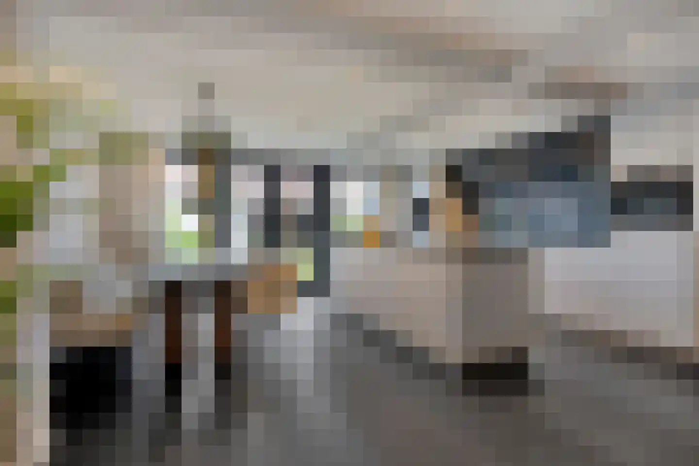 Burgemeester van Hooffln 54 Veldhoven thumbnail 4