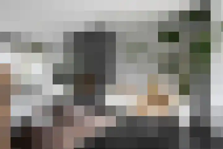 Burgemeester van Hooffln 54 Veldhoven thumbnail 4