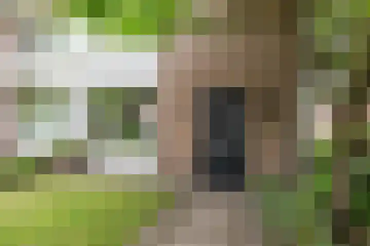 Burgemeester van Hooffln 54 Veldhoven thumbnail 47