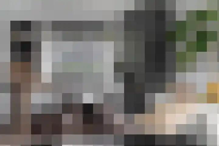 Burgemeester van Hooffln 54 Veldhoven thumbnail 6