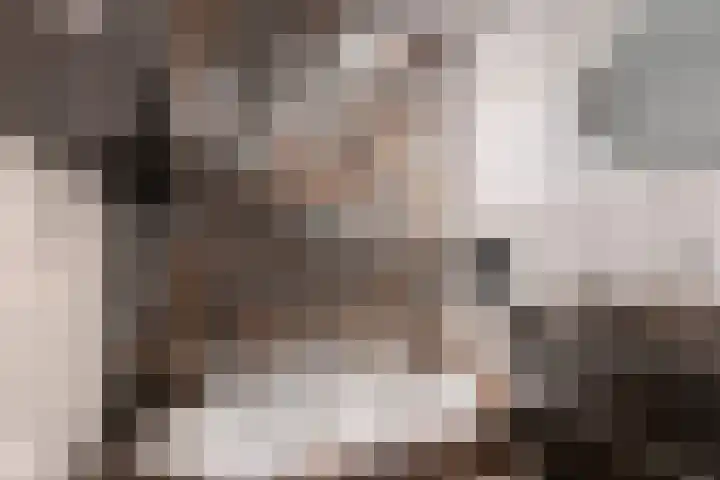 Burgemeester van Houtlaan 147 Helmond thumbnail 16