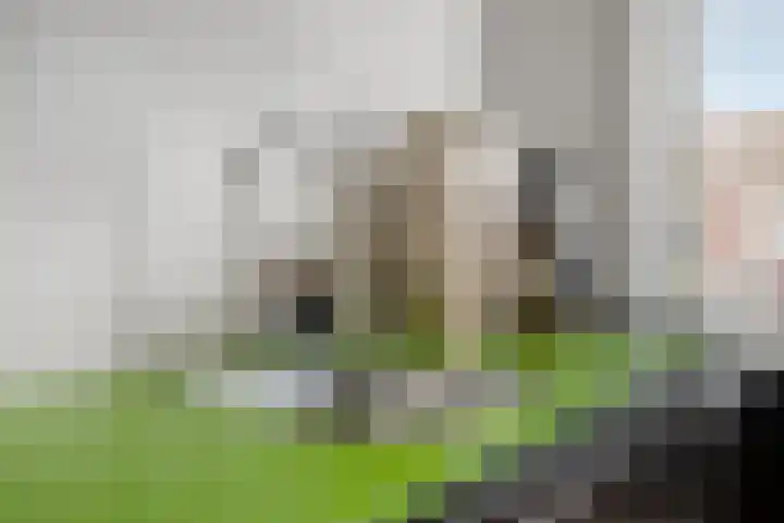 Burgemeester van Houtlaan 147 Helmond thumbnail 6